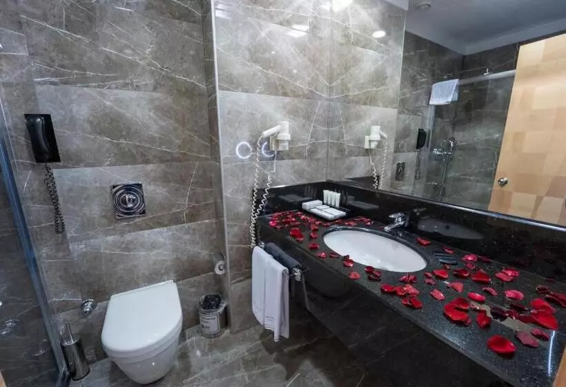 سوییت, Metropolitan Hotels Ankara