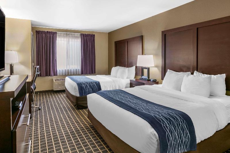 标准单人间, Mirante