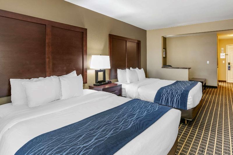 标准单人间, Mirante