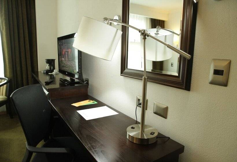 Superior Kamer, Terrano Concepción