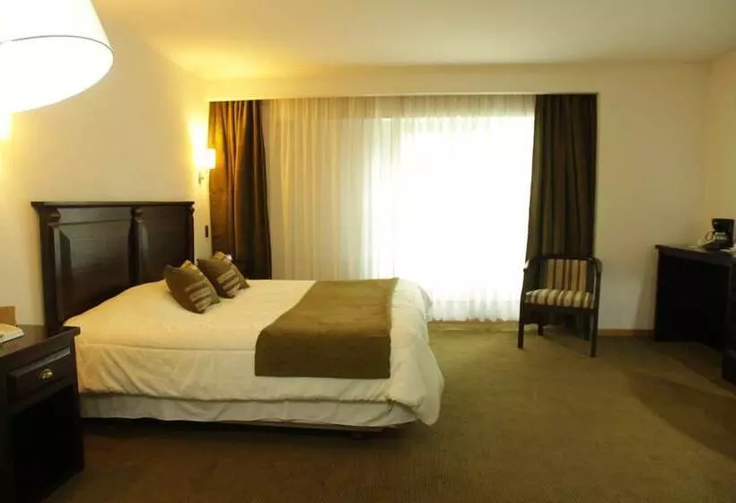 Superior-huone, Terrano Concepción