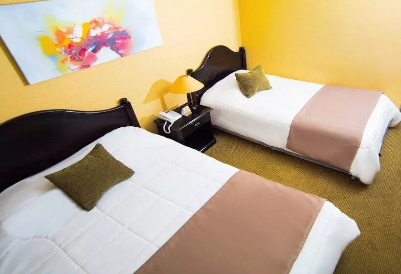 Standard Kolmen Hengen Huone, Terrano Concepción