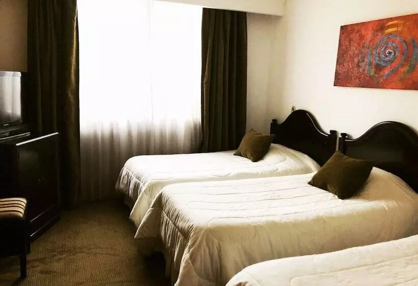 Standard Kolmen Hengen Huone, Terrano Concepción