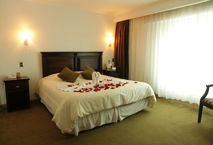 Suite, Terrano Concepción