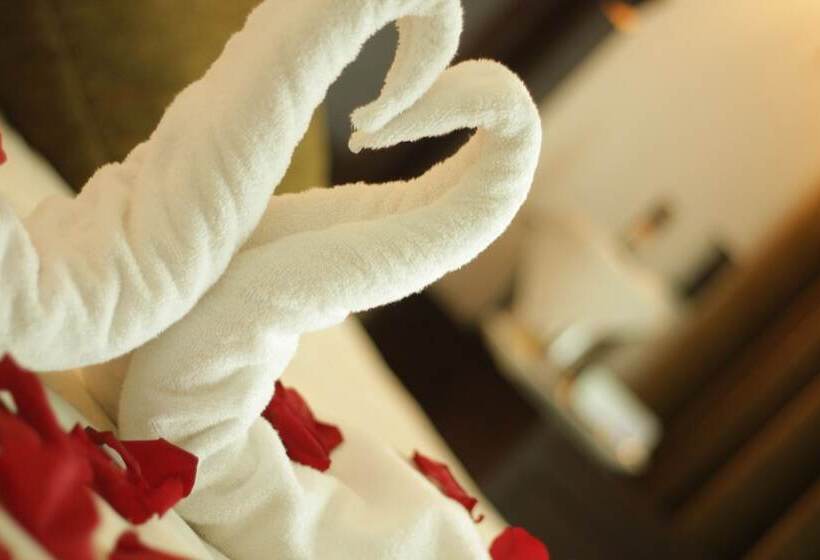 Suite, Terrano Concepción