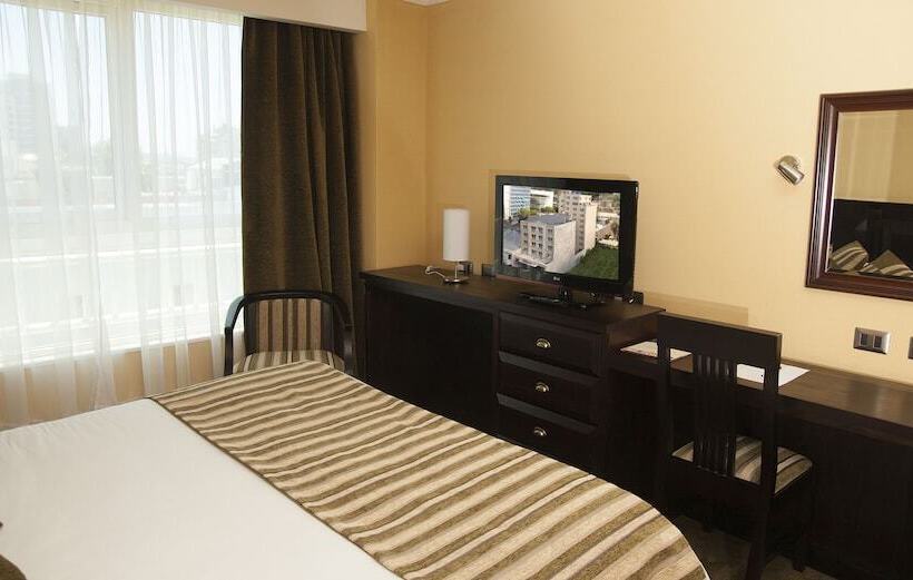 Suite, Terrano Concepción