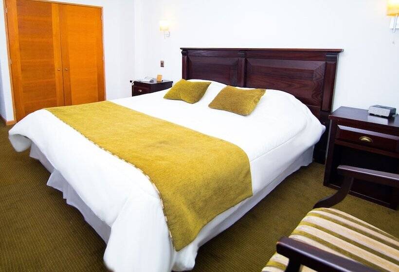 Standaard Éénpersoonskamer, Terrano Concepción