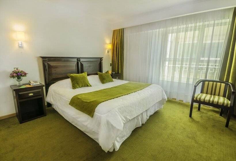 Standaard Éénpersoonskamer, Terrano Concepción