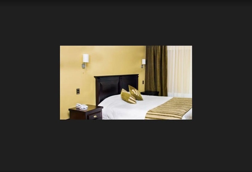 Standaard Éénpersoonskamer, Terrano Concepción