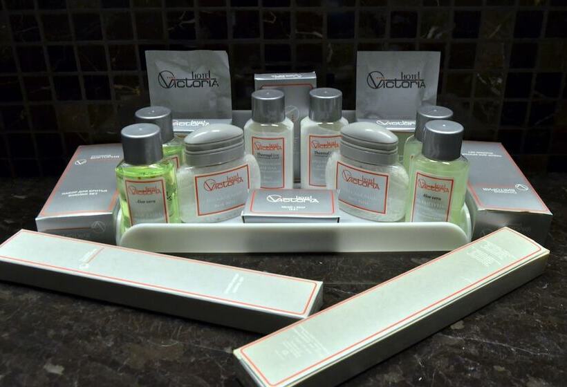 スタンダードルーム, Victoria  & Business Centre Minsk