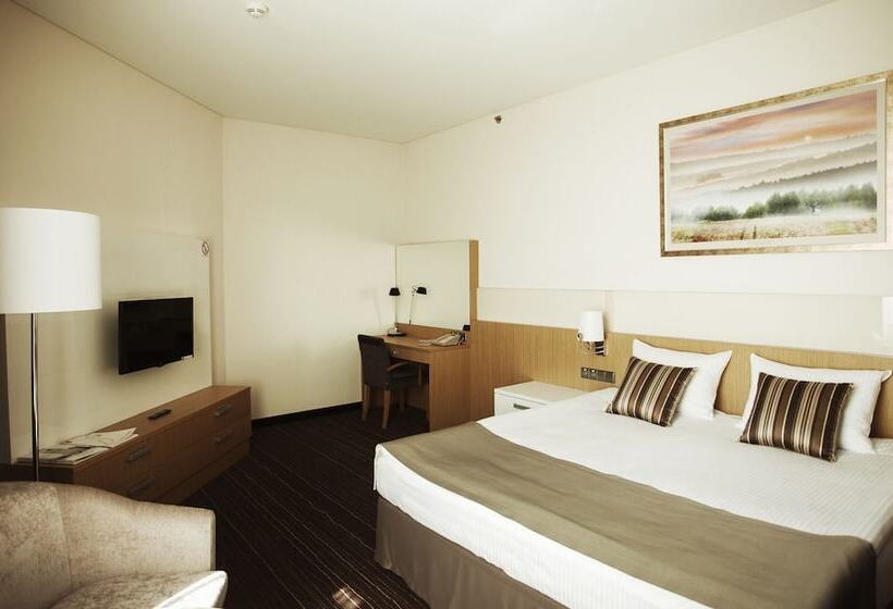 スタンダードルーム, Victoria  & Business Centre Minsk