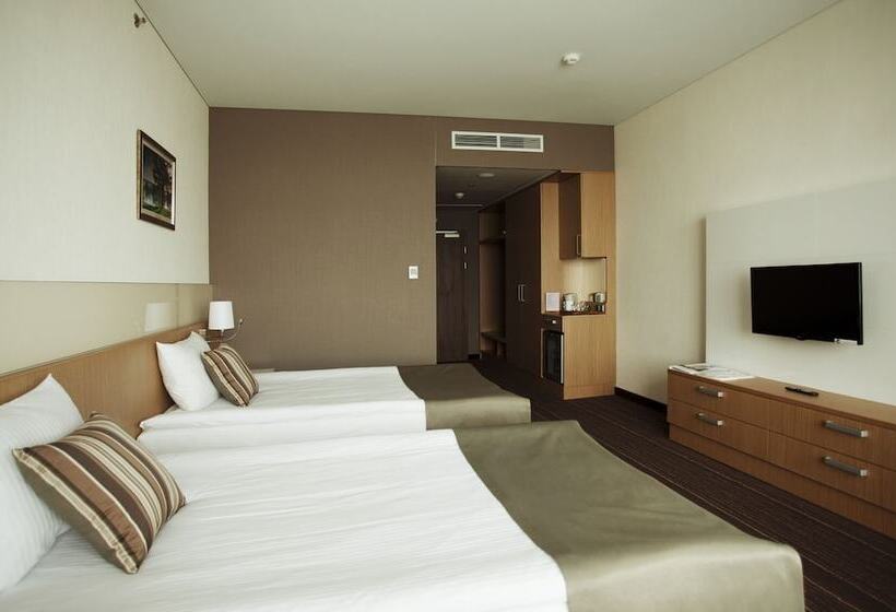 スタンダードルーム, Victoria  & Business Centre Minsk