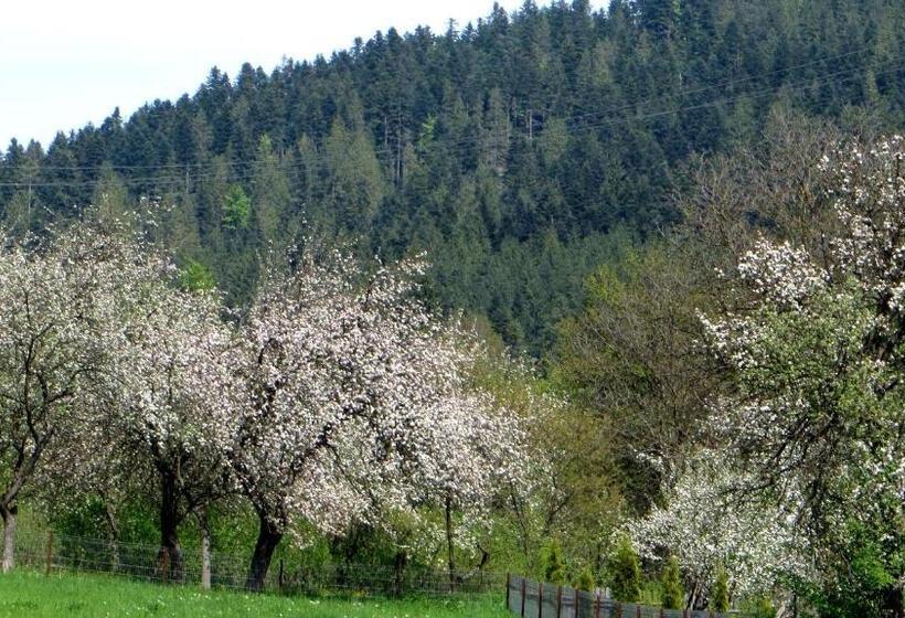 Номер Стандарт Трехместный, Pensiunea Poiana De Vis