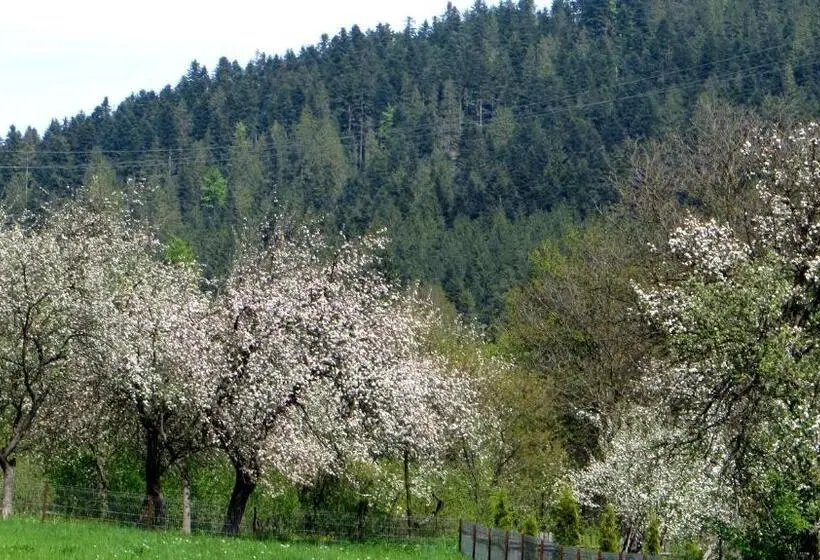 اتاق استاندارد سه نفره, Pensiunea Poiana De Vis