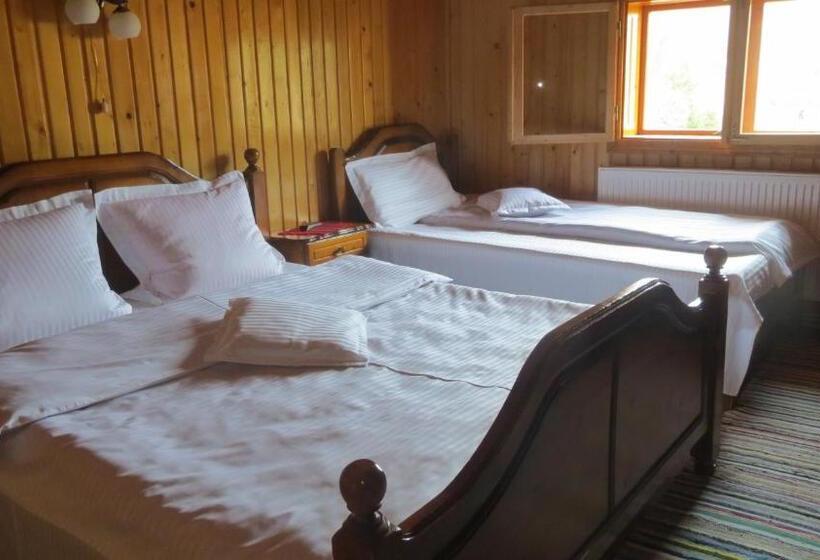 Номер Стандарт Трехместный, Pensiunea Poiana De Vis