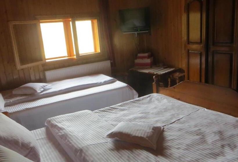 Номер Стандарт Трехместный, Pensiunea Poiana De Vis