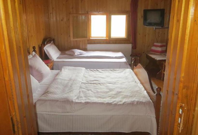 Номер Стандарт Трехместный, Pensiunea Poiana De Vis