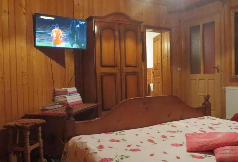 Трехместный Номер Стандарт с Балконом, Pensiunea Poiana De Vis