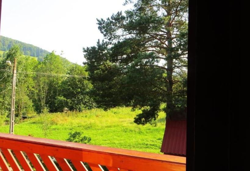 Номер Стандарт с Балконом, Pensiunea Poiana De Vis