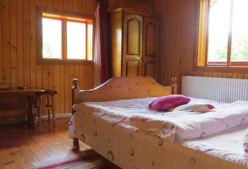 Номер Стандарт с Балконом, Pensiunea Poiana De Vis