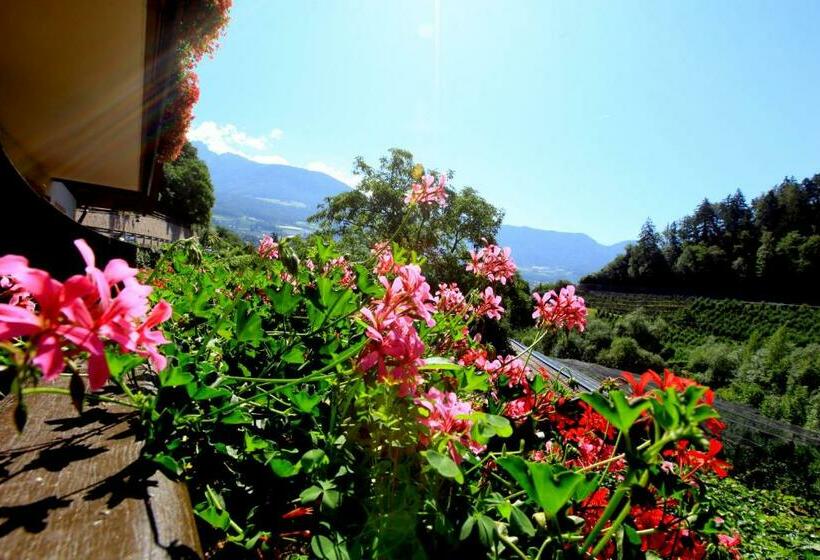 חדר סטנדרט, Tannerhof Bed & Breakfast