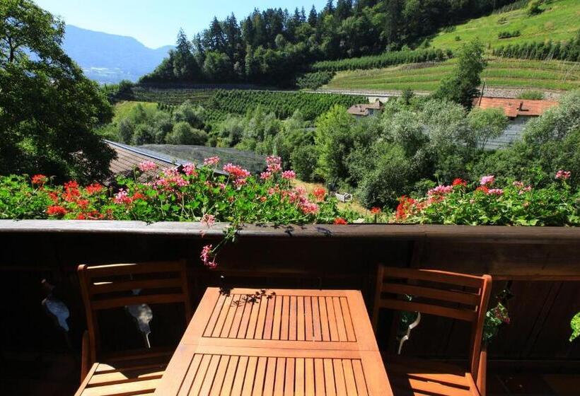 חדר סטנדרט עם מרפסת, Tannerhof Bed & Breakfast