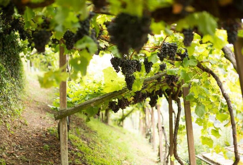 חדר סטנדרט עם מרפסת, Tannerhof Bed & Breakfast