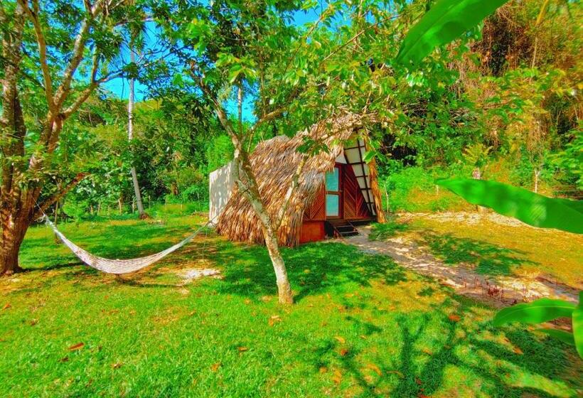 스탠다드 방갈로 정원 전망, Jasayma Dentro Del Parque Tayrona