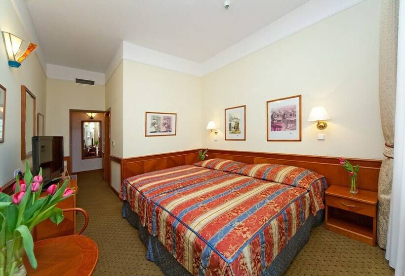 اتاق استاندارد یک نفره, Boutique Hotel 16