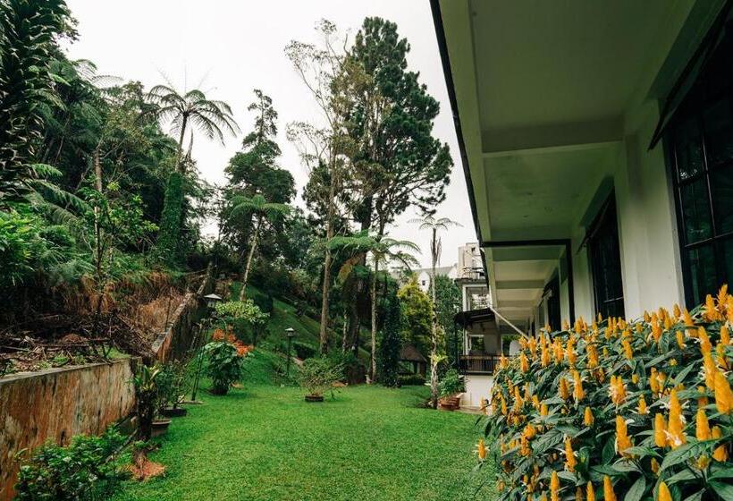 غرفة قياسية مطلّة علي الحديقة, Casa De La Rosa