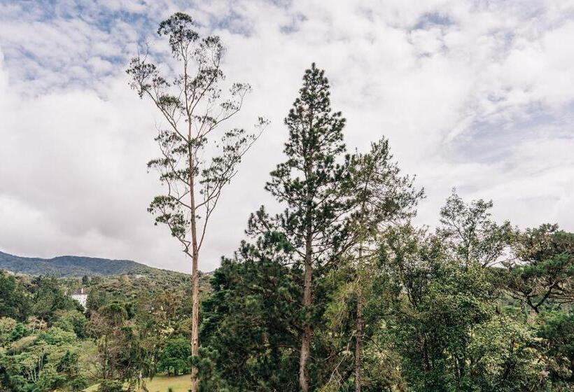 منزل غرفة نوم واحدة, Casa De La Rosa