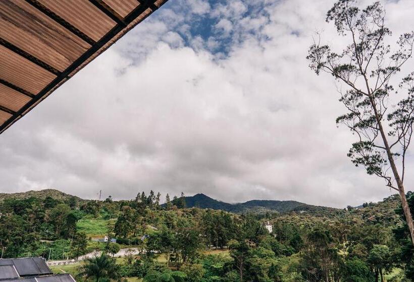 منزل غرفة نوم واحدة, Casa De La Rosa