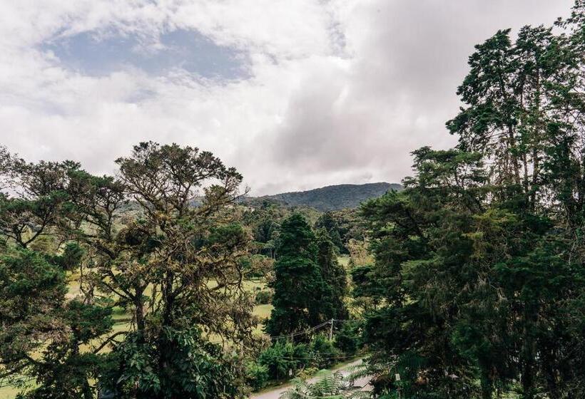 منزل غرفة نوم واحدة, Casa De La Rosa