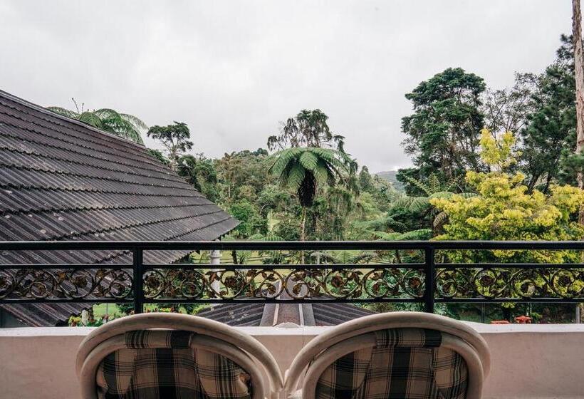 غرفة عائلية, Casa De La Rosa