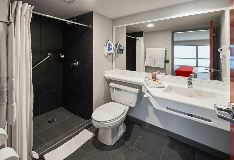 Номер Стандарт, City Express By Marriott Ciudad De México Ebc Reforma
