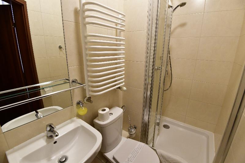 スタンダードルーム, Downtown Krakow