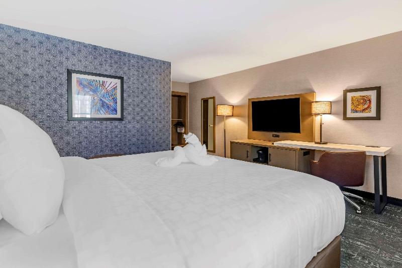 スタンダードルーム, Downtown Krakow