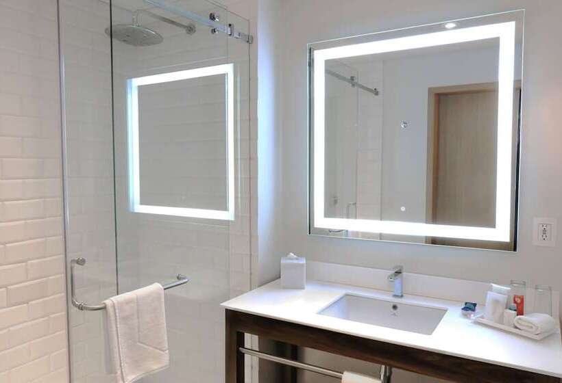 ２ダブルベッドのスタンダードルーム, Four Points By Sheraton Mexico City, Colonia Roma