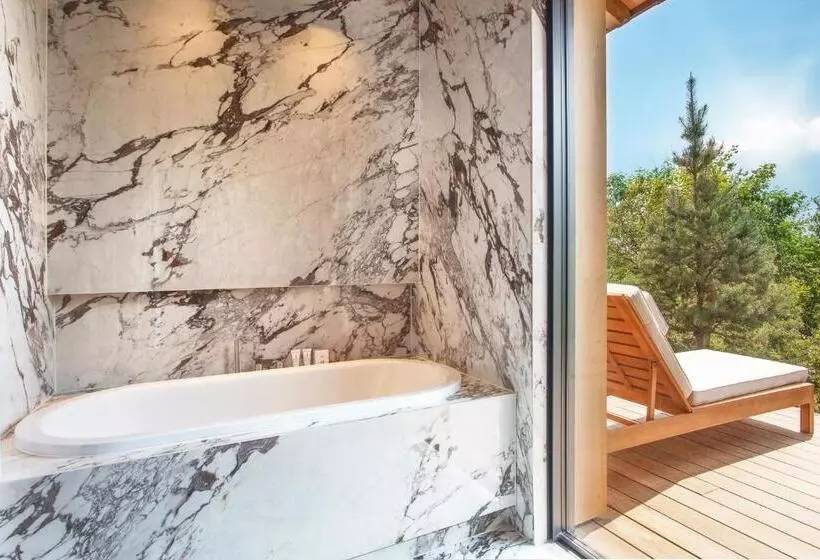 Standard-huone Poreallas, Jiva Hill Resort  Geneve