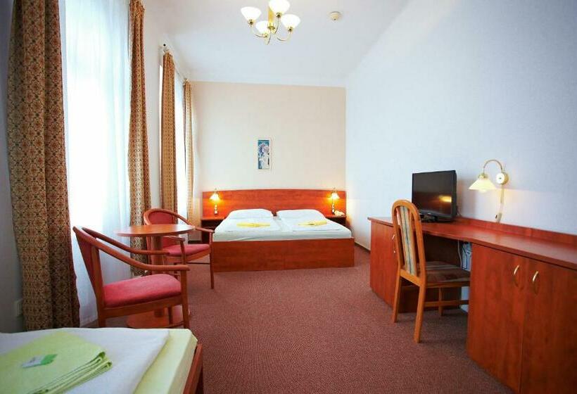 标准单人间, Wellness Hotel Central