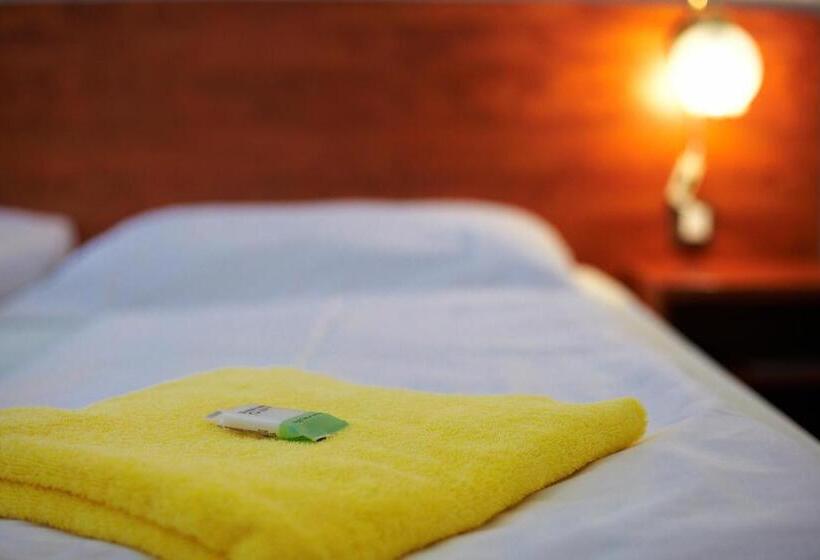 标准间, Wellness Hotel Central