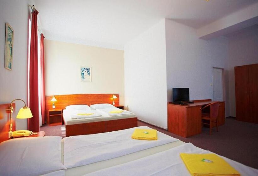 四人标准间, Wellness Hotel Central