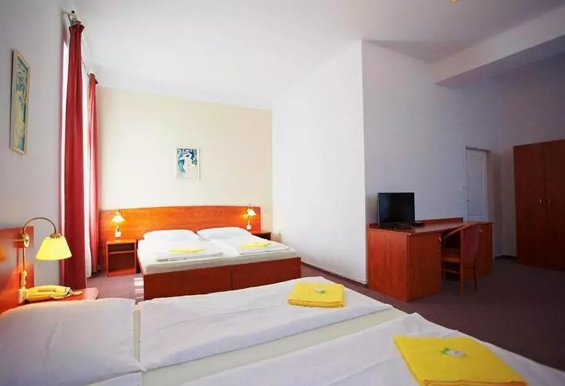 スタンダード４人部屋, Wellness Hotel Central
