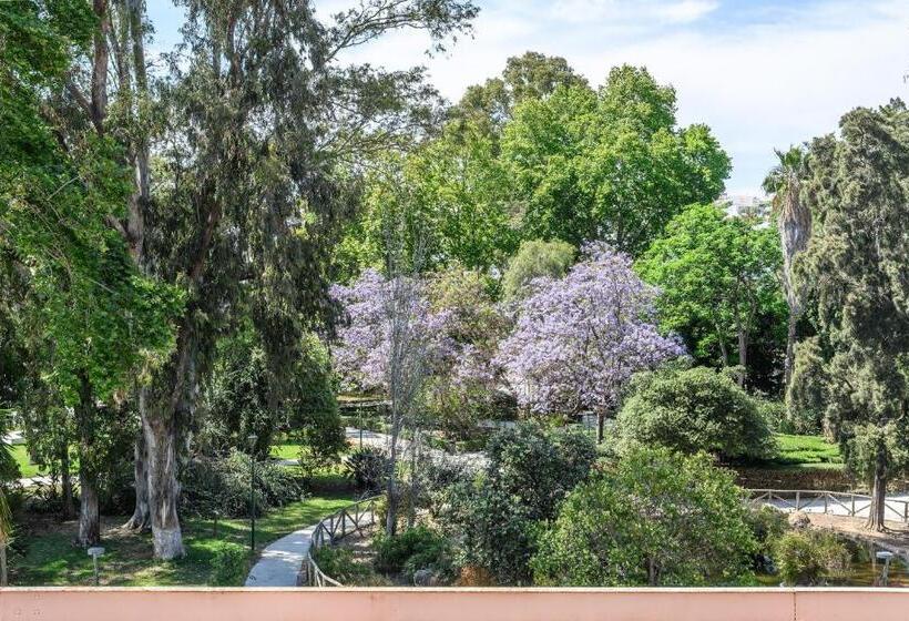 חדר סטנדרט, Don Diego By ĥ