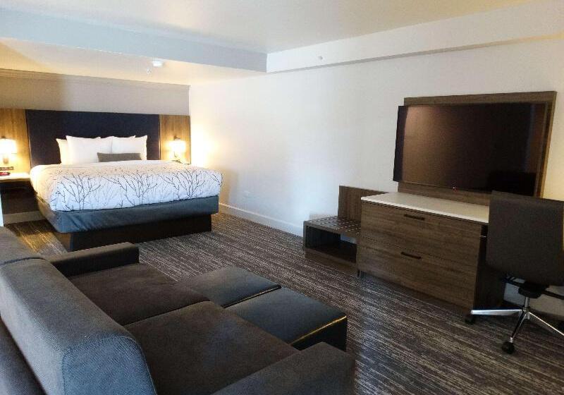 Люкс Кровать Кинг, Best Western Premier Denver East