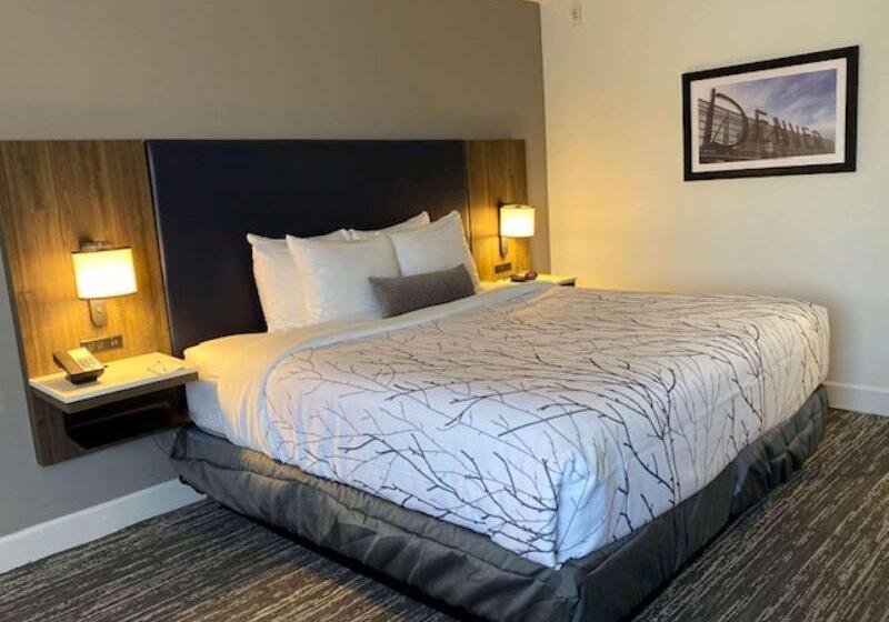 Люкс, Best Western Premier Denver East