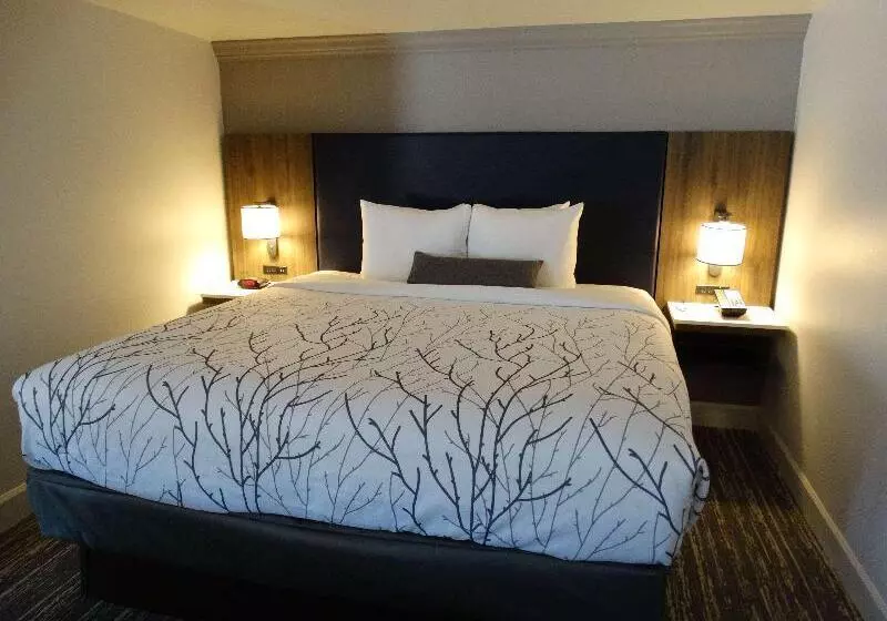 スイート, Best Western Premier Denver East