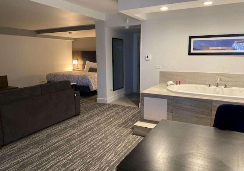Люкс Вид на Бассейн, Best Western Premier Denver East