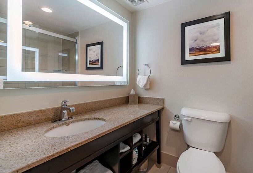 Номер Стандарт 2 Двуспальные Кровати, Best Western Premier Denver East