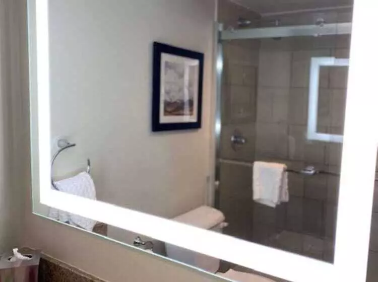２ダブルベッドのスタンダードルーム, Best Western Premier Denver East